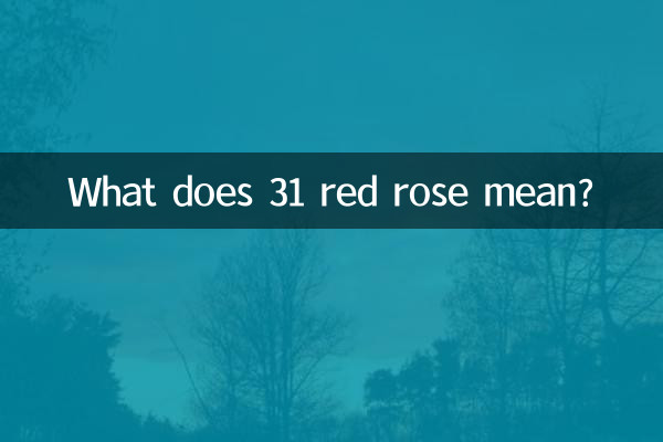31 রেড রোজ মানে কী?
