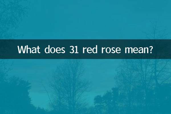Que signifie 31 Rose rouge?