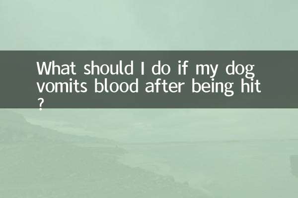 Que dois-je faire si mon chien vomit du sang après avoir été frappé ?