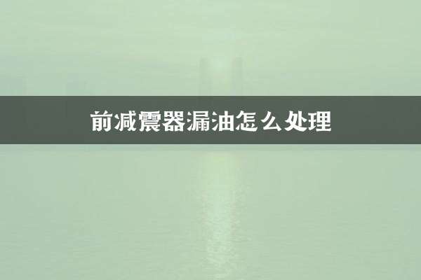 前減震器漏油怎麼處理