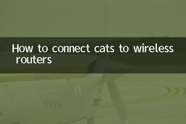 Como conectar gatos a roteadores sem fio