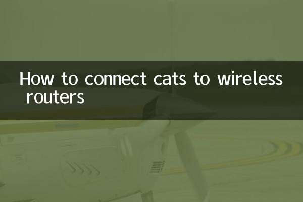 Como conectar gatos a roteadores sem fio
