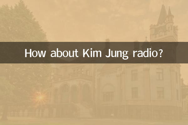 Que tal a rádio Kim Jung?