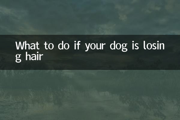 اگر آپ کا کتا بال کھو رہا ہے تو کیا کریں