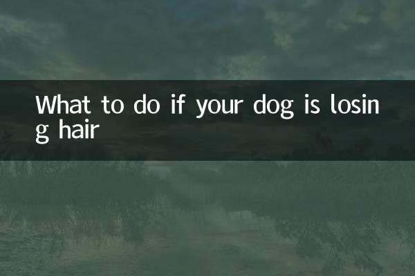 اگر آپ کا کتا بال کھو رہا ہے تو کیا کریں