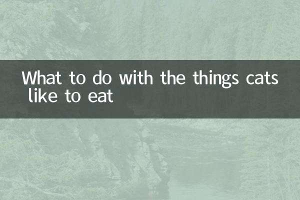 بلیوں کو کھانا پسند کرنے والی چیزوں کے ساتھ کیا کرنا ہے