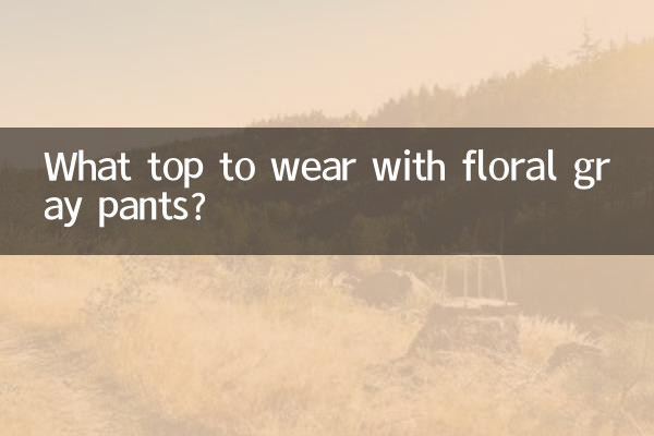 花柄のグレーのパンツにはどんなトップスを合わせますか?