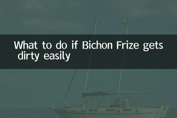 O que fazer se o Bichon Frise se sujar facilmente