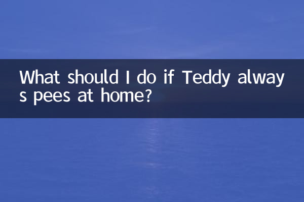 টেডি সবসময় বাড়িতে প্রস্রাব করলে আমার কী করা উচিত?