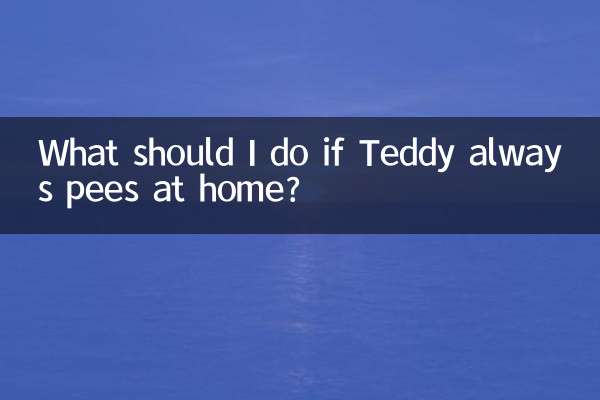 টেডি সবসময় বাড়িতে প্রস্রাব করলে আমার কী করা উচিত?