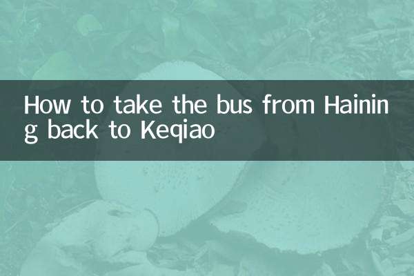 So nehmen Sie den Bus von Haining zurück nach Keqiao