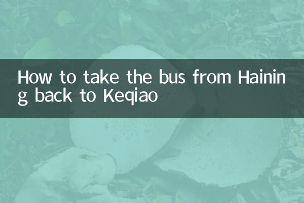 So nehmen Sie den Bus von Haining zurück nach Keqiao