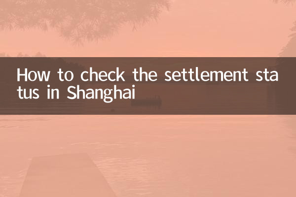 How to check the settlement status in Shanghai
