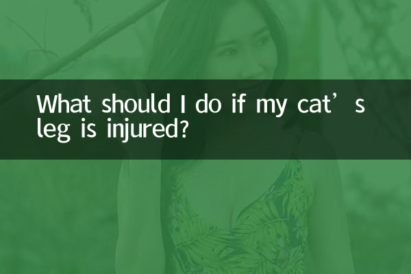 আমার বিড়ালের পা আহত হলে আমার কী করা উচিত?