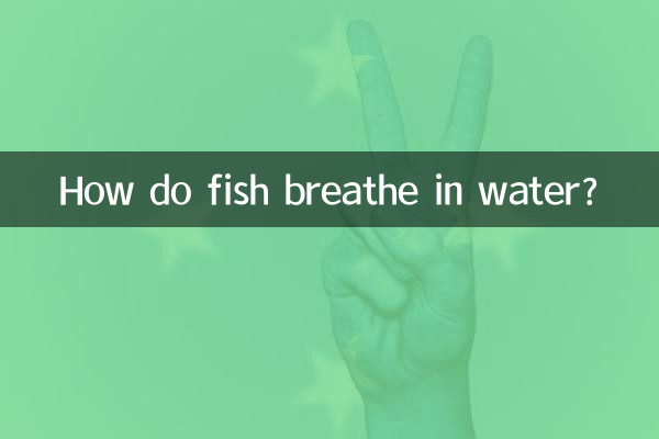 Wie atmen Fische im Wasser?