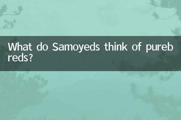 O que os Samoiedos pensam dos raças puras?