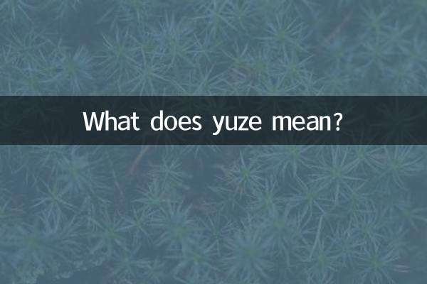¿Qué significa Yuze?