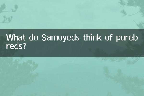 O que os Samoiedos pensam dos raças puras?