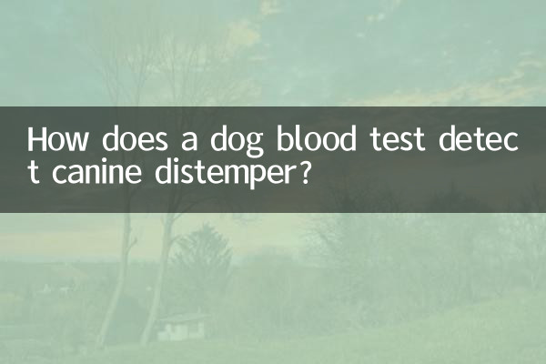 How does a dog blood test detect canine distemper?