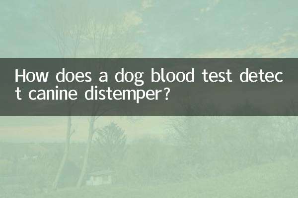 How does a dog blood test detect canine distemper?