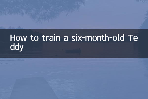 How to train a six-month-old Teddy