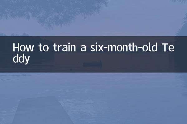How to train a six-month-old Teddy