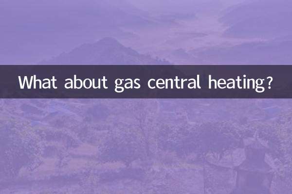 Wie wäre es mit einer Gaszentralheizung?