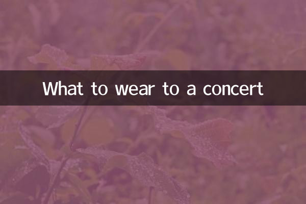 콘서트에 뭘 입을까