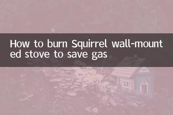Come bruciare la stufa a parete Squirrel per risparmiare gas