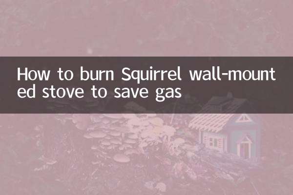 نحوه سوزاندن اجاق گاز دیواری Squirrel برای صرفه جویی در مصرف گاز