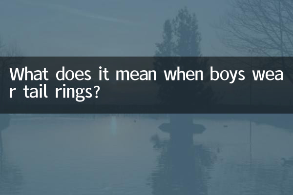 男の子が尾輪をつけるのはどういう意味ですか？