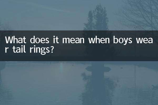 Что означает, когда мальчики носят кольца на хвосте?