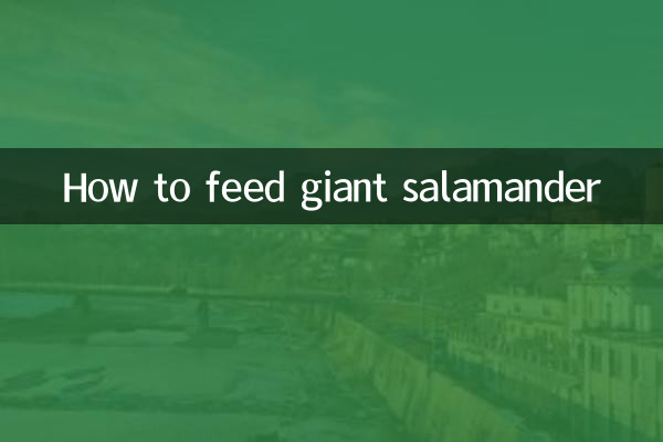 Как кормить гигантскую саламандру