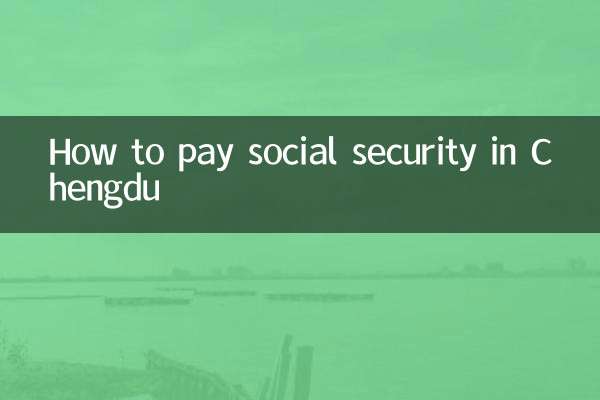 How to pay social security in Chengdu