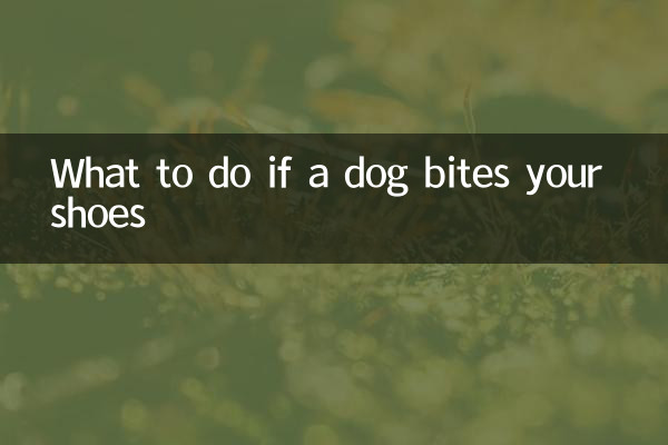 Что делать, если собака укусила обувь