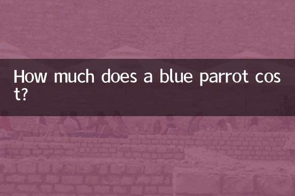 Quanto costa un pappagallo blu?