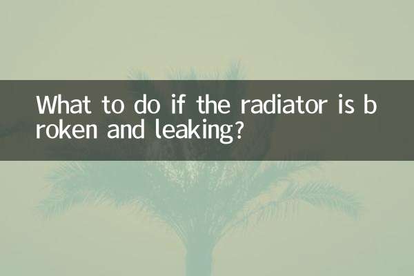 라디에이터가 파손되어 새는 경우 어떻게 해야 합니까?