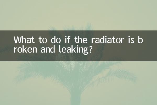 라디에이터가 파손되어 새는 경우 어떻게 해야 합니까?