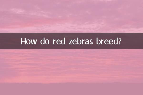 红斑马怎么繁殖
