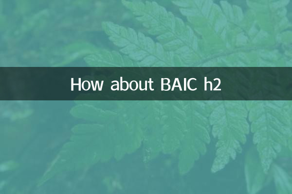 BAIC h2はどうですか？