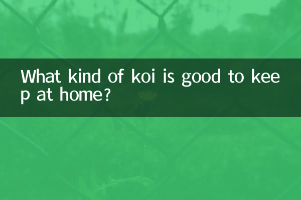 چه نوع کوی برای نگهداری در خانه خوب است؟