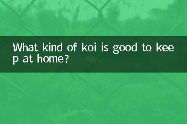 Che tipo di koi è bene tenere a casa?