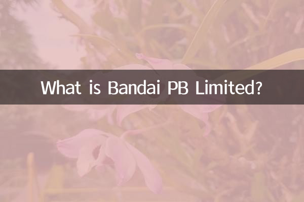 반다이 PB Limited란 무엇인가요?