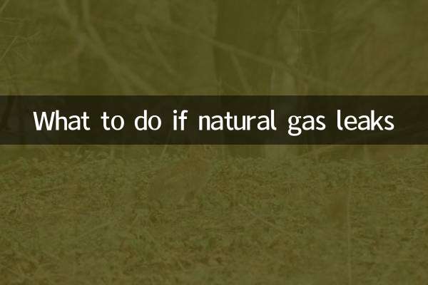 Qué hacer si hay una fuga de gas natural