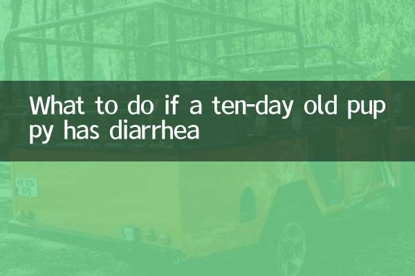 生後10日目の子犬が下痢をした場合の対処法