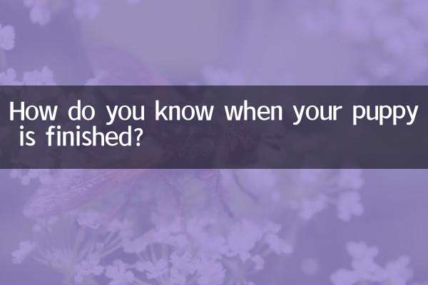 Como saber quando seu cachorro terminou?