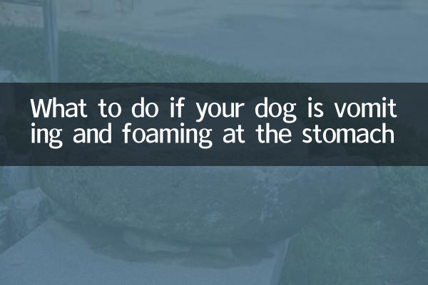 Was tun, wenn Ihr Hund erbricht und Schaum im Magen hat?