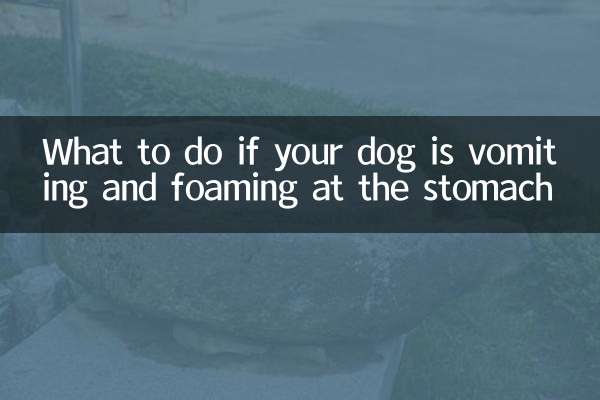 Was tun, wenn Ihr Hund erbricht und Schaum im Magen hat?