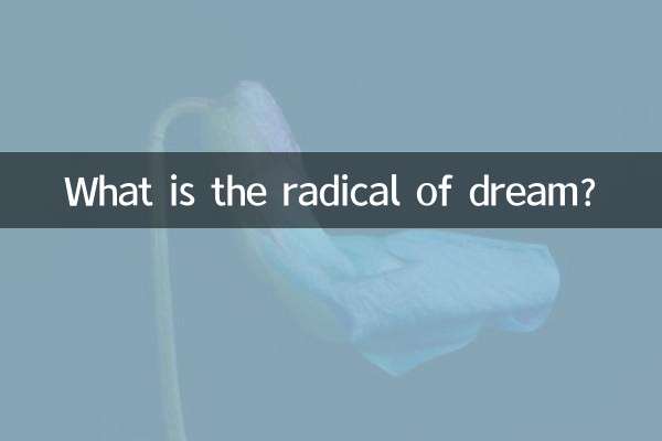 স্বপ্নের আমূল কি?