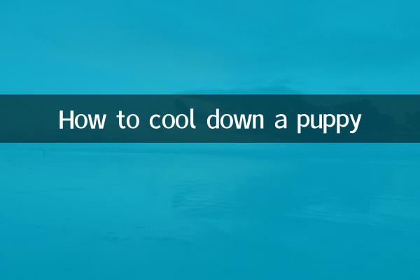 چگونه یک توله سگ را خنک کنیم